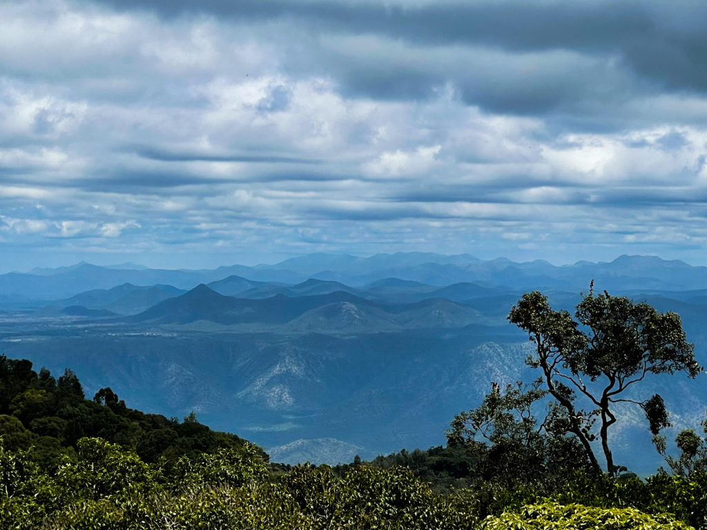 Nilgiris Wild Food Festival