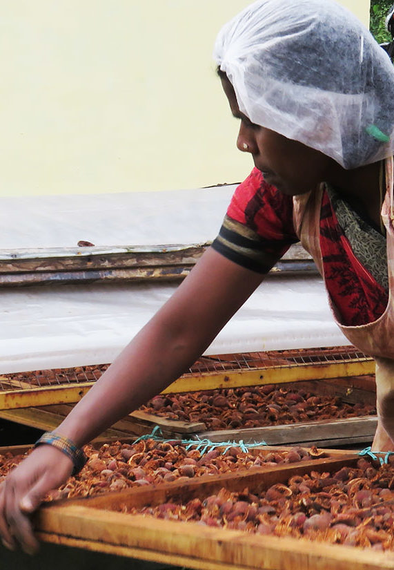 Hasanur-drying-fig-6-e1631192213104