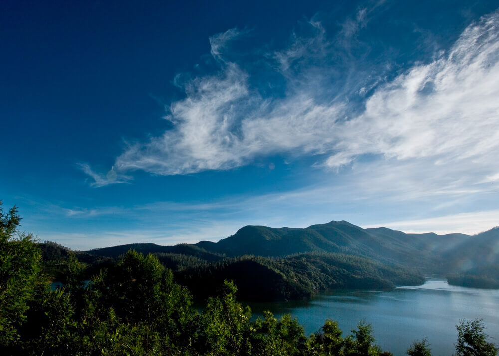 avalanche | Ramya Reddy | The Nilgiris Foundation