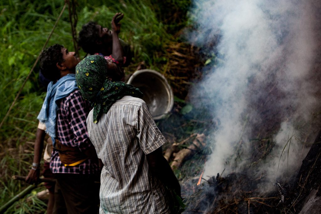 Honey Hunting | The Nilgiris Foundation | Keystone Foundation