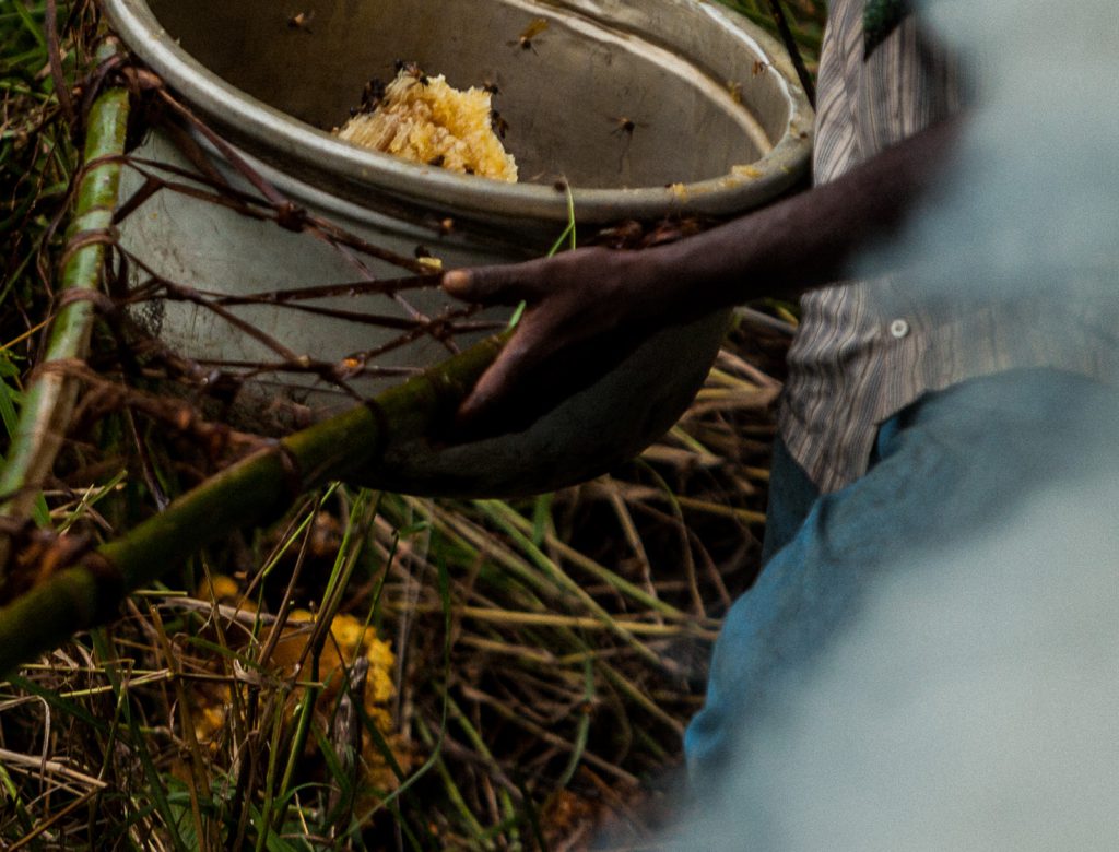 Honey Hunting | The Nilgiris Foundation | Keystone Foundation